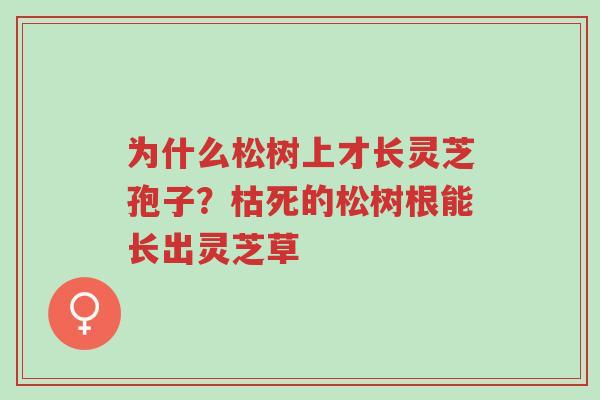为什么松树上才长灵芝孢子?枯死的松树根能长出灵芝草-第1张图片-超越 为什么松树上才长灵芝孢子?枯死的松树根能长出灵芝草-第1张图片-超越