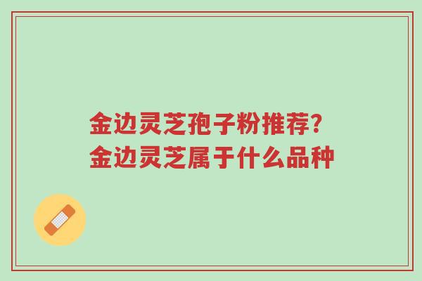 金边灵芝孢子粉推荐?金边灵芝属于什么品种-第1张图片-超越 金边灵芝孢子粉推荐?金边灵芝属于什么品种-第1张图片-超越