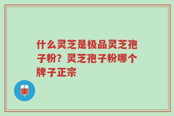 什么灵芝是极品灵芝孢子粉?灵芝孢子粉哪个牌子正宗-第1张图片-超越 什么灵芝是极品灵芝孢子粉?灵芝孢子粉哪个牌子正宗-第1张图片-超越
