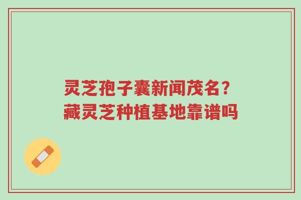 灵芝孢子囊新闻茂名?藏灵芝种植基地靠谱吗-第1张图片-超越 灵芝孢子囊新闻茂名?藏灵芝种植基地靠谱吗-第1张图片-超越