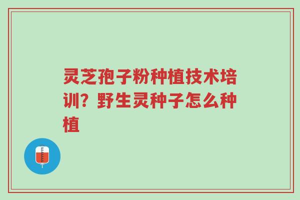灵芝孢子粉种植技术培训?野生灵种子怎么种植-第1张图片-超越 灵芝孢子粉种植技术培训?野生灵种子怎么种植-第1张图片-超越