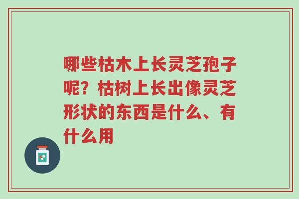 哪些枯木上长灵芝孢子呢?枯树上长出像灵芝形状的东西是什么、有什么用-第1张图片-超越 哪些枯木上长灵芝孢子呢?枯树上长出像灵芝形状的东西是什么、有什么用-第1张图片-超越