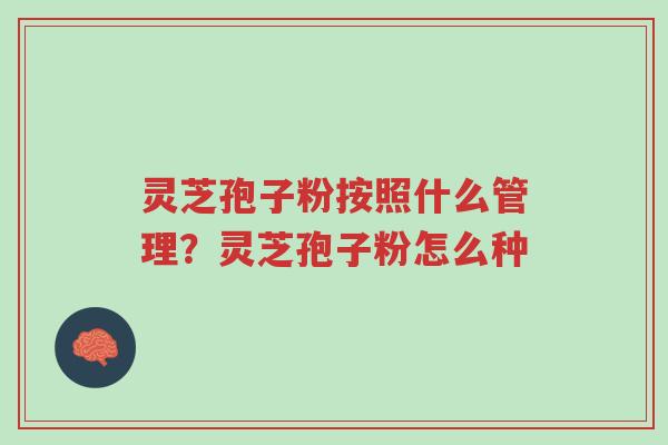 灵芝孢子粉按照什么管理?灵芝孢子粉怎么种-第1张图片-超越 灵芝孢子粉按照什么管理?灵芝孢子粉怎么种-第1张图片-超越
