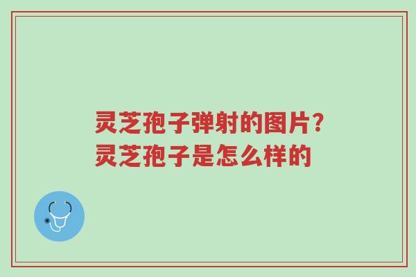 灵芝孢子弹射的图片?灵芝孢子是怎么样的-第1张图片-超越 灵芝孢子弹射的图片?灵芝孢子是怎么样的-第1张图片-超越