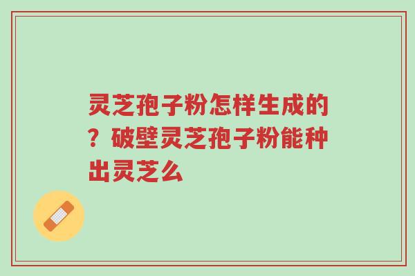 灵芝孢子粉怎样生成的?破壁灵芝孢子粉能种出灵芝么-第1张图片-超越 灵芝孢子粉怎样生成的?破壁灵芝孢子粉能种出灵芝么-第1张图片-超越