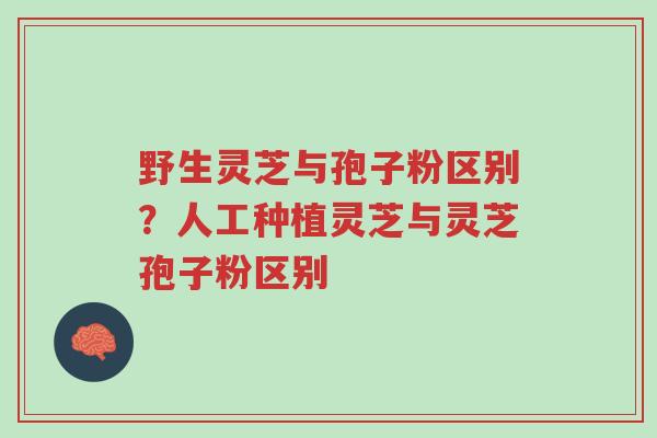 野生灵芝与孢子粉区别?人工种植灵芝与灵芝孢子粉区别-第1张图片-超越 野生灵芝与孢子粉区别?人工种植灵芝与灵芝孢子粉区别-第1张图片-超越