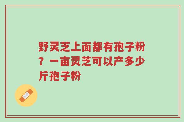 野灵芝上面都有孢子粉?一亩灵芝可以产多少斤孢子粉-第1张图片-超越 野灵芝上面都有孢子粉?一亩灵芝可以产多少斤孢子粉-第1张图片-超越