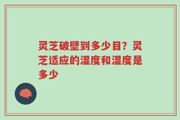 灵芝破壁到多少目?灵芝适应的湿度和湿度是多少-第1张图片-超越 灵芝破壁到多少目?灵芝适应的湿度和湿度是多少-第1张图片-超越