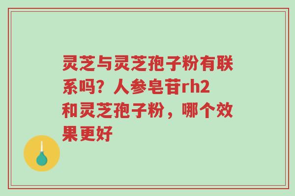 灵芝与灵芝孢子粉有联系吗?人参皂苷rh2和灵芝孢子粉,哪个效果更好-第1张图片-超越 灵芝与灵芝孢子粉有联系吗?人参皂苷rh2和灵芝孢子粉,哪个效果更好-第1张图片-超越