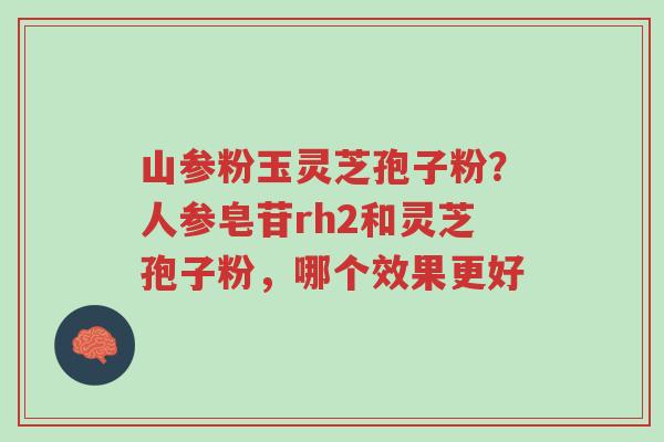 山参粉玉灵芝孢子粉?人参皂苷rh2和灵芝孢子粉,哪个效果更好-第1张图片-超越 山参粉玉灵芝孢子粉?人参皂苷rh2和灵芝孢子粉,哪个效果更好-第1张图片-超越