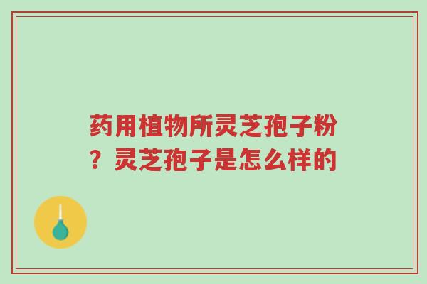 药用植物所灵芝孢子粉?灵芝孢子是怎么样的-第1张图片-超越 药用植物所灵芝孢子粉?灵芝孢子是怎么样的-第1张图片-超越