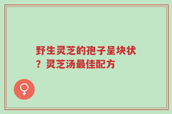 野生灵芝的孢子呈块状?灵芝汤最佳配方-第1张图片-超越 野生灵芝的孢子呈块状?灵芝汤最佳配方-第1张图片-超越