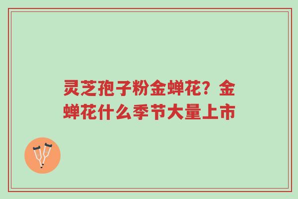 灵芝孢子粉金蝉花?金蝉花什么季节大量上市-第1张图片-超越 灵芝孢子粉金蝉花?金蝉花什么季节大量上市-第1张图片-超越