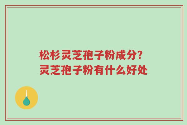 松杉灵芝孢子粉成分?灵芝孢子粉有什么好处-第1张图片-超越 松杉灵芝孢子粉成分?灵芝孢子粉有什么好处-第1张图片-超越