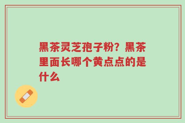 黑茶灵芝孢子粉？黑茶里面长哪个黄点点的是什么-第1张图片-超越