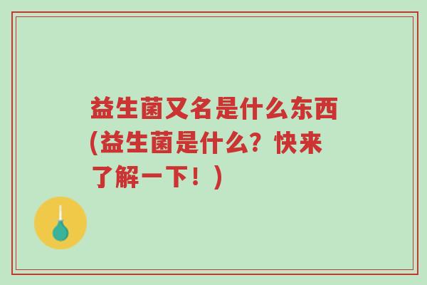 益生菌又名是什么东西(益生菌是什么?快来了解一下!)-第1张图片-超越 益生菌又名是什么东西(益生菌是什么?快来了解一下!)-第1张图片-超越