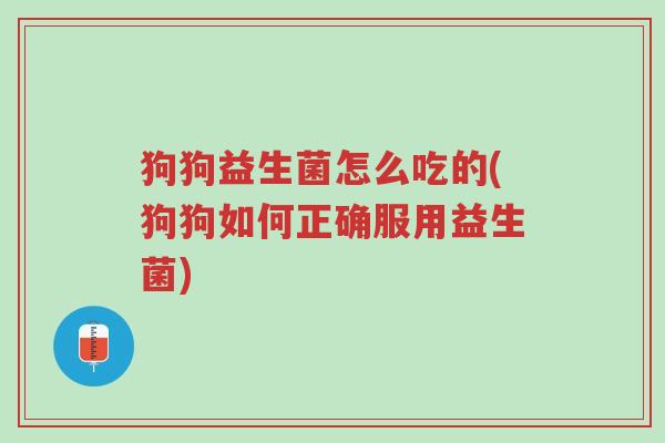 狗狗益生菌怎么吃的(狗狗如何正确服用益生菌)-第1张图片-超越 狗狗益生菌怎么吃的(狗狗如何正确服用益生菌)-第1张图片-超越