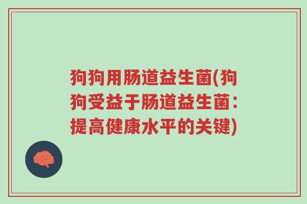狗狗用肠道益生菌(狗狗受益于肠道益生菌:提高健康水平的关键)-第1张图片-超越 狗狗用肠道益生菌(狗狗受益于肠道益生菌:提高健康水平的关键)-第1张图片-超越