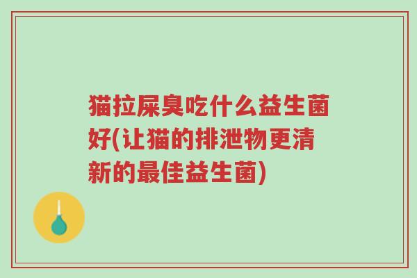 猫拉屎臭吃什么益生菌好(让猫的排泄物更清新的最佳益生菌)-第1张图片-超越 猫拉屎臭吃什么益生菌好(让猫的排泄物更清新的最佳益生菌)-第1张图片-超越