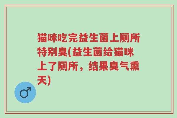 猫咪吃完益生菌上厕所特别臭(益生菌给猫咪上了厕所,结果臭气熏天)-第1张图片-超越 猫咪吃完益生菌上厕所特别臭(益生菌给猫咪上了厕所,结果臭气熏天)-第1张图片-超越