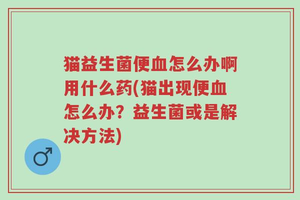 猫益生菌便血怎么办啊用什么药(猫出现便血怎么办?益生菌或是解决方法)-第1张图片-超越 猫益生菌便血怎么办啊用什么药(猫出现便血怎么办?益生菌或是解决方法)-第1张图片-超越
