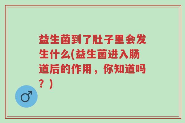 益生菌到了肚子里会发生什么(益生菌进入肠道后的作用,你知道吗?)-第1张图片-超越 益生菌到了肚子里会发生什么(益生菌进入肠道后的作用,你知道吗?)-第1张图片-超越