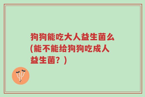 狗狗能吃大人益生菌么(能不能给狗狗吃成人益生菌?)-第1张图片-超越 狗狗能吃大人益生菌么(能不能给狗狗吃成人益生菌?)-第1张图片-超越