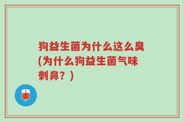 狗益生菌为什么这么臭(为什么狗益生菌气味刺鼻?)-第1张图片-超越 狗益生菌为什么这么臭(为什么狗益生菌气味刺鼻?)-第1张图片-超越