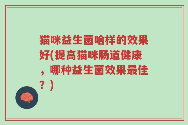 猫咪益生菌啥样的效果好(提高猫咪肠道健康,哪种益生菌效果最佳?)-第1张图片-超越 猫咪益生菌啥样的效果好(提高猫咪肠道健康,哪种益生菌效果最佳?)-第1张图片-超越