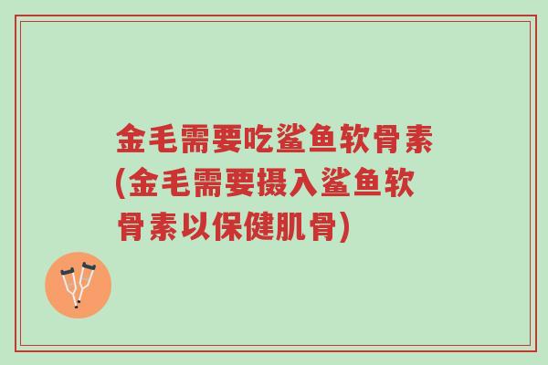金毛需要吃鲨鱼软骨素(金毛需要摄入鲨鱼软骨素以保健肌骨)-第1张图片-超越 金毛需要吃鲨鱼软骨素(金毛需要摄入鲨鱼软骨素以保健肌骨)-第1张图片-超越