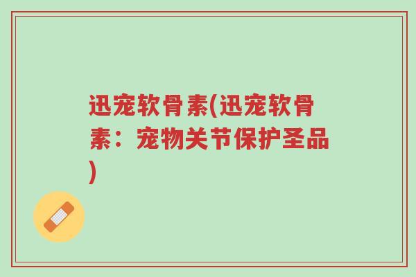 迅宠软骨素(迅宠软骨素:宠物关节保护圣品)-第1张图片-超越 迅宠软骨素(迅宠软骨素:宠物关节保护圣品)-第1张图片-超越