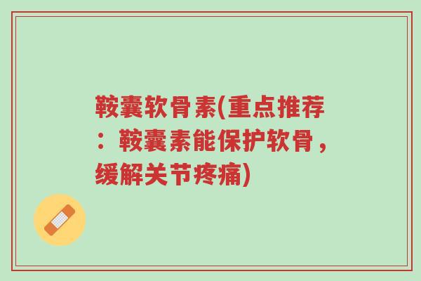 鞍囊软骨素(重点推荐:鞍囊素能保护软骨,缓解关节疼痛)-第1张图片-超越 鞍囊软骨素(重点推荐:鞍囊素能保护软骨,缓解关节疼痛)-第1张图片-超越