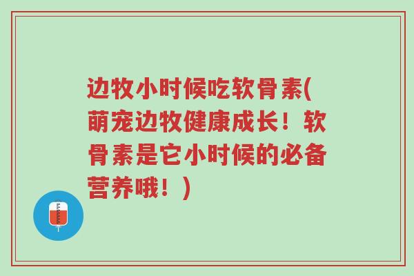 边牧小时候吃软骨素(萌宠边牧健康成长!软骨素是它小时候的必备营养哦!)-第1张图片-超越 边牧小时候吃软骨素(萌宠边牧健康成长!软骨素是它小时候的必备营养哦!)-第1张图片-超越