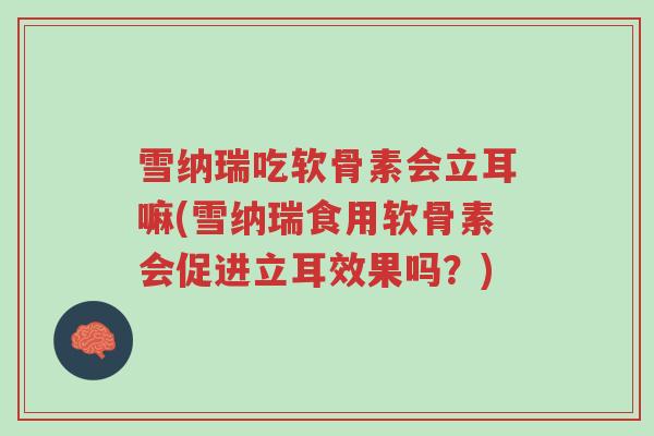 雪纳瑞吃软骨素会立耳嘛(雪纳瑞食用软骨素会促进立耳效果吗?)-第1张图片-超越 雪纳瑞吃软骨素会立耳嘛(雪纳瑞食用软骨素会促进立耳效果吗?)-第1张图片-超越