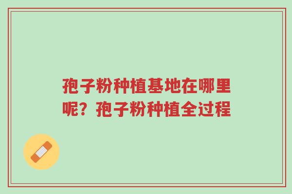 孢子粉种植基地在哪里呢?孢子粉种植全过程-第1张图片-超越 孢子粉种植基地在哪里呢?孢子粉种植全过程-第1张图片-超越