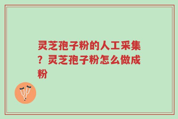 灵芝孢子粉的人工采集?灵芝孢子粉怎么做成粉-第1张图片-超越 灵芝孢子粉的人工采集?灵芝孢子粉怎么做成粉-第1张图片-超越