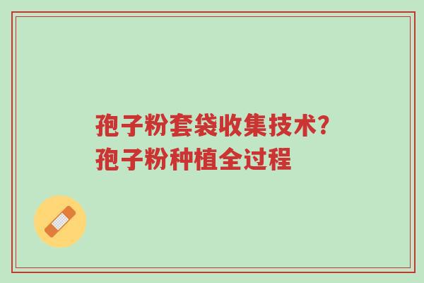 孢子粉套袋收集技术?孢子粉种植全过程-第1张图片-超越 孢子粉套袋收集技术?孢子粉种植全过程-第1张图片-超越