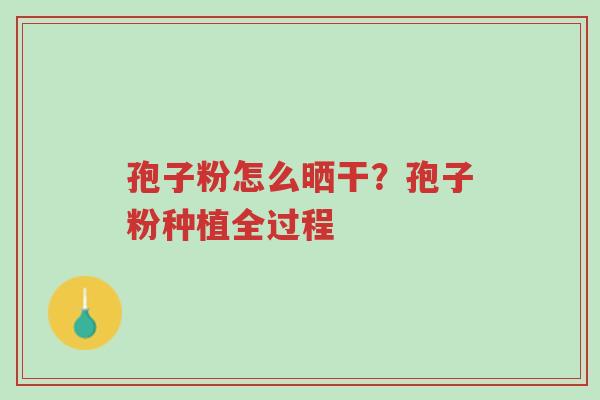 孢子粉怎么晒干?孢子粉种植全过程-第1张图片-超越 孢子粉怎么晒干?孢子粉种植全过程-第1张图片-超越