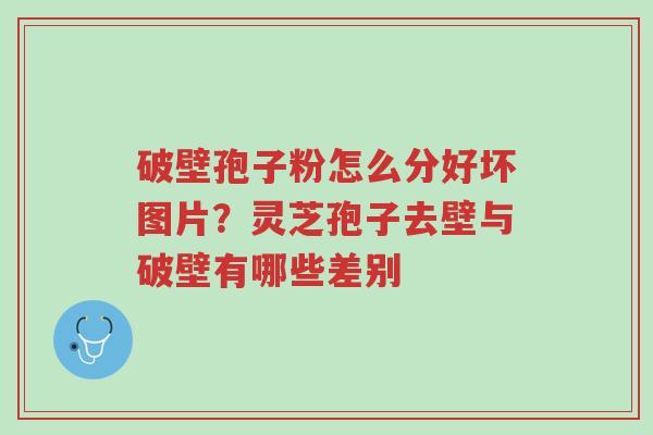 破壁孢子粉怎么分好坏图片?灵芝孢子去壁与破壁有哪些差别-第1张图片-超越 破壁孢子粉怎么分好坏图片?灵芝孢子去壁与破壁有哪些差别-第1张图片-超越