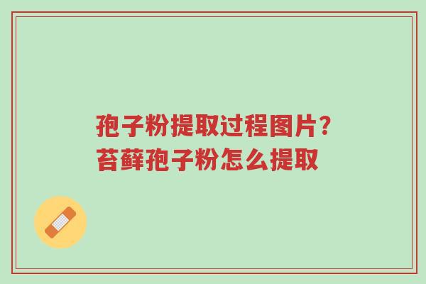 孢子粉提取过程图片?苔藓孢子粉怎么提取-第1张图片-超越 孢子粉提取过程图片?苔藓孢子粉怎么提取-第1张图片-超越
