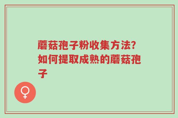 蘑菇孢子粉收集方法?如何提取成熟的蘑菇孢子-第1张图片-超越 蘑菇孢子粉收集方法?如何提取成熟的蘑菇孢子-第1张图片-超越