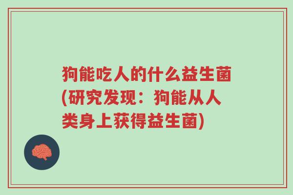 狗能吃人的什么益生菌(研究发现:狗能从人类身上获得益生菌)-第1张图片-超越 狗能吃人的什么益生菌(研究发现:狗能从人类身上获得益生菌)-第1张图片-超越