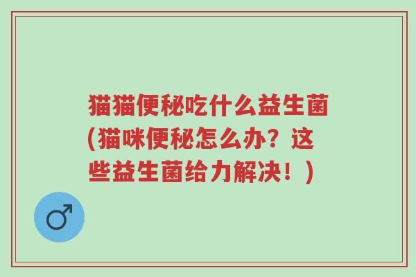 猫猫便秘吃什么益生菌(猫咪便秘怎么办?这些益生菌给力解决!)-第1张图片-超越 猫猫便秘吃什么益生菌(猫咪便秘怎么办?这些益生菌给力解决!)-第1张图片-超越