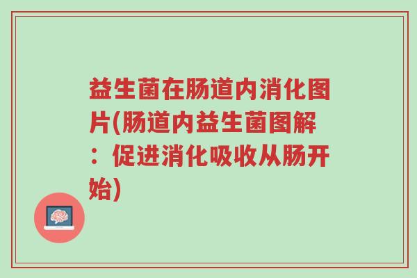 益生菌在肠道内消化图片(肠道内益生菌图解:促进消化吸收从肠开始)-第1张图片-超越 益生菌在肠道内消化图片(肠道内益生菌图解:促进消化吸收从肠开始)-第1张图片-超越