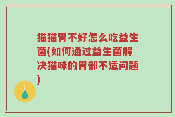 猫猫胃不好怎么吃益生菌(如何通过益生菌解决猫咪的胃部不适问题)-第1张图片-超越 猫猫胃不好怎么吃益生菌(如何通过益生菌解决猫咪的胃部不适问题)-第1张图片-超越