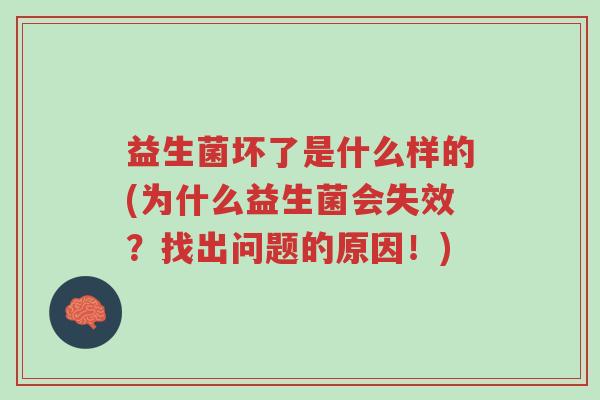 益生菌坏了是什么样的(为什么益生菌会失效?找出问题的原因!)-第1张图片-超越 益生菌坏了是什么样的(为什么益生菌会失效?找出问题的原因!)-第1张图片-超越