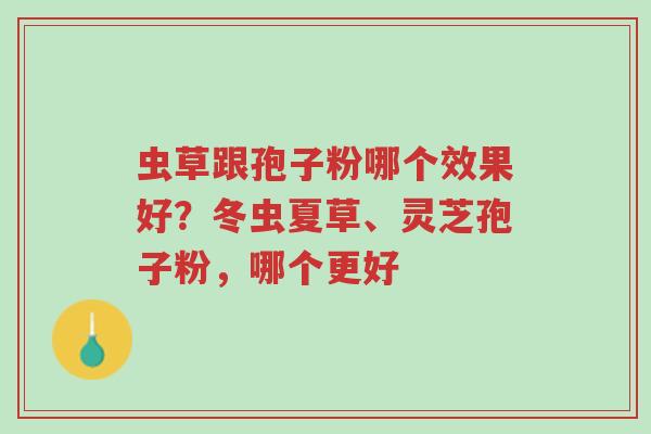 虫草跟孢子粉哪个效果好?冬虫夏草、灵芝孢子粉,哪个更好-第1张图片-超越 虫草跟孢子粉哪个效果好?冬虫夏草、灵芝孢子粉,哪个更好-第1张图片-超越
