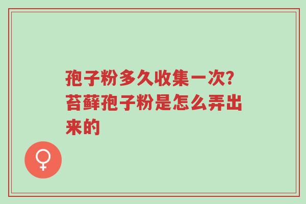 孢子粉多久收集一次？苔藓孢子粉是怎么弄出来的-第1张图片-超越