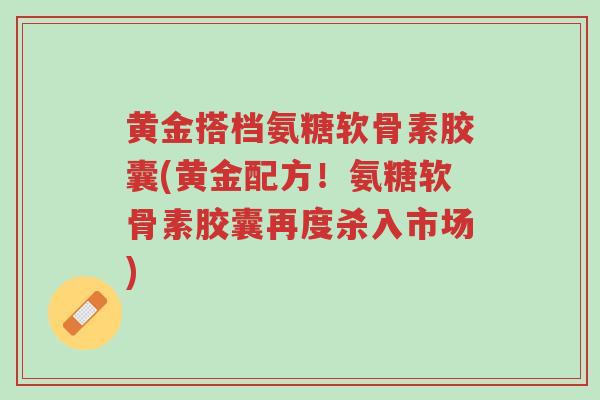 黄金搭档氨糖软骨素胶囊(黄金配方！氨糖软骨素胶囊再度杀入市场)-第1张图片-超越