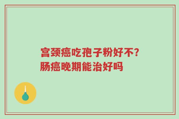 宫颈癌吃孢子粉好不？肠癌晚期能治好吗-第1张图片-超越
